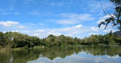 1. Friedfischangeln