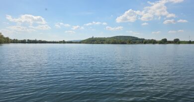 Friedfisch 2.-Durchgang & Sperrung der Landzunge Nordstemmen1