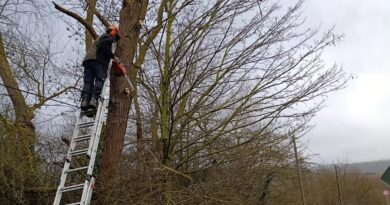 Erfolgreicher Arbeitsdienst am 21.02.2026 Erfolgreicher Arbeitsdienst am 21.02.2026