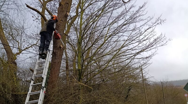 Erfolgreicher Arbeitsdienst am 21.02.2026